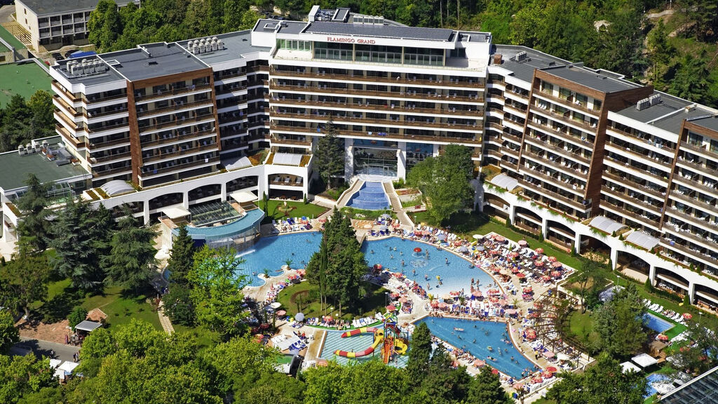 Flamingo Grand