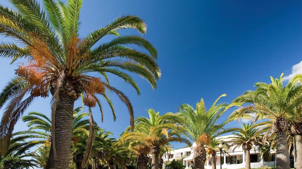 Flamingo Resort