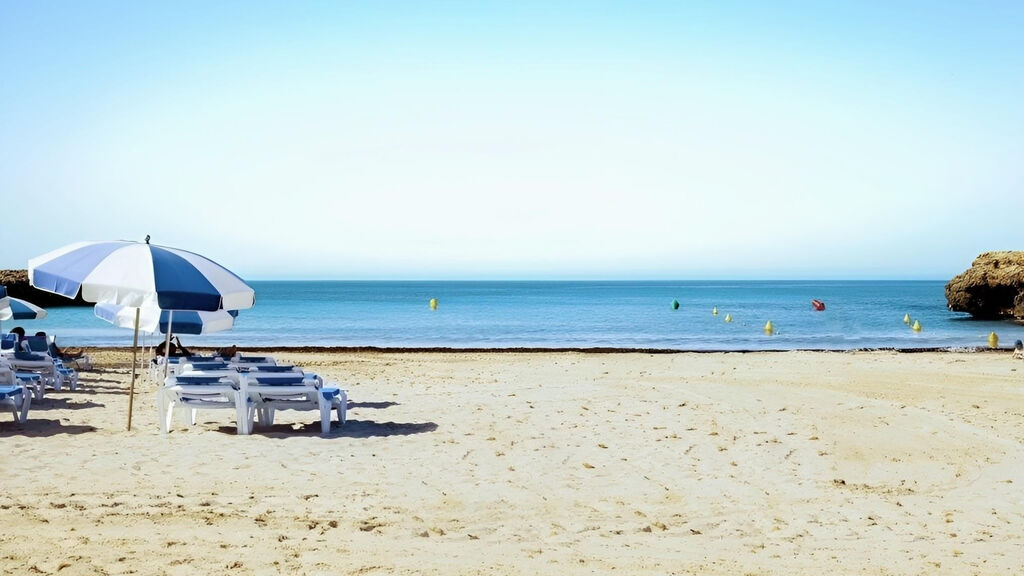 Globales Cala´n Bosch