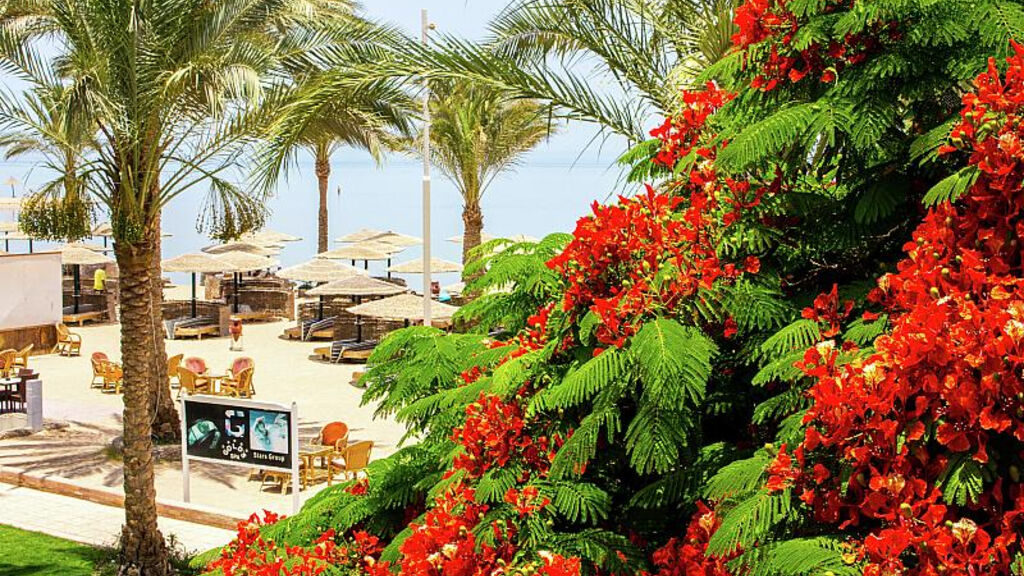 Golden Beach Resort (ex. Movie Gate)