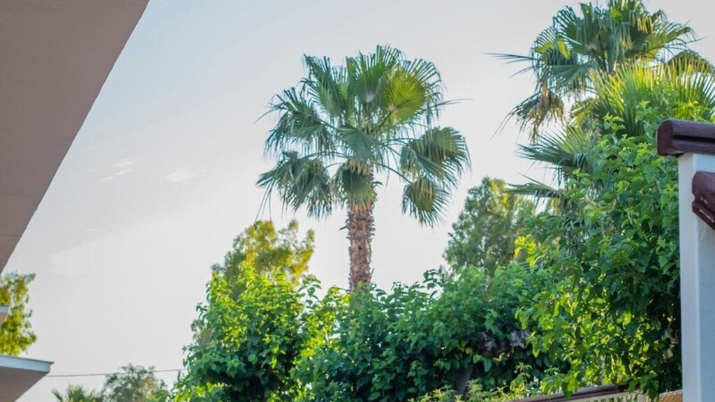 Golden Coast Hotel And Bungalows