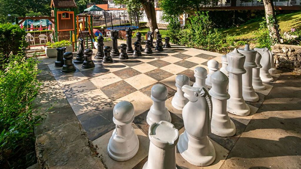 BSA Gradina