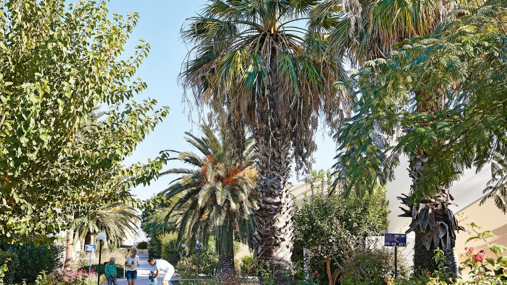 Grecotel Casa Paradiso