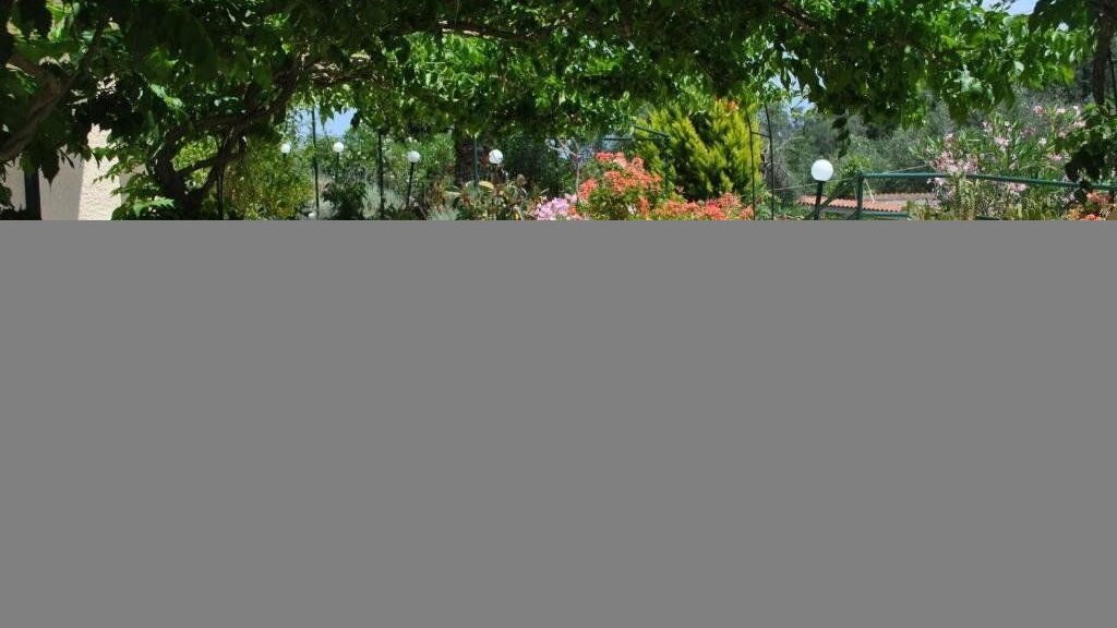 Helios Splendid Boukari