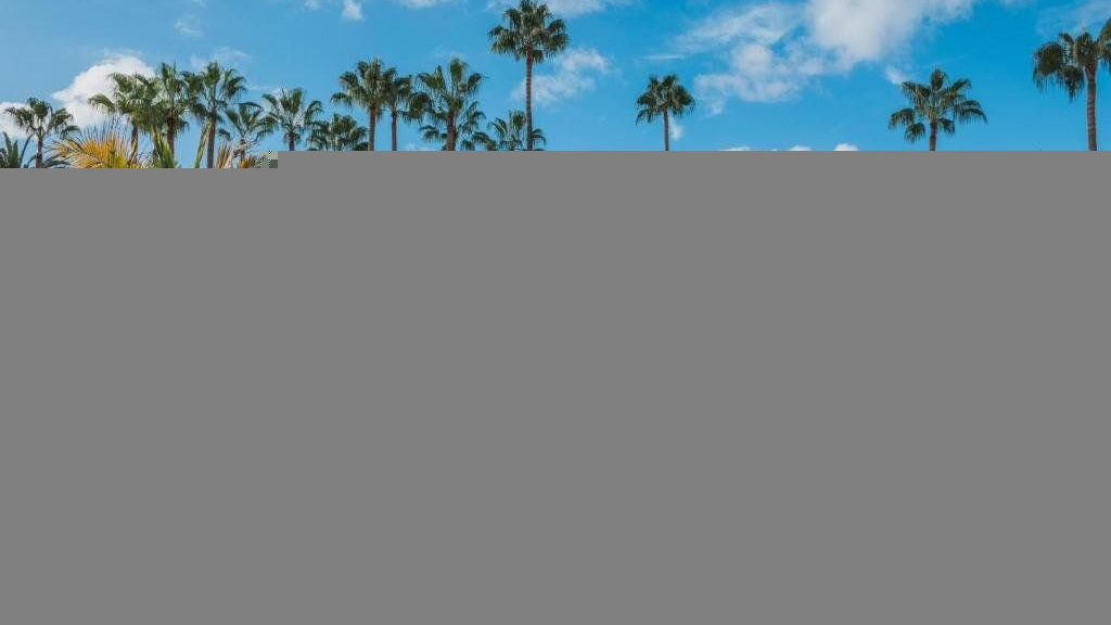 Iberostar Las Dalias