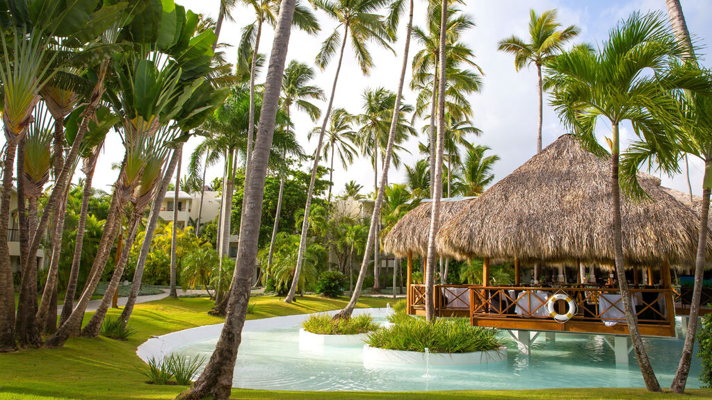 Impressive Punta Cana