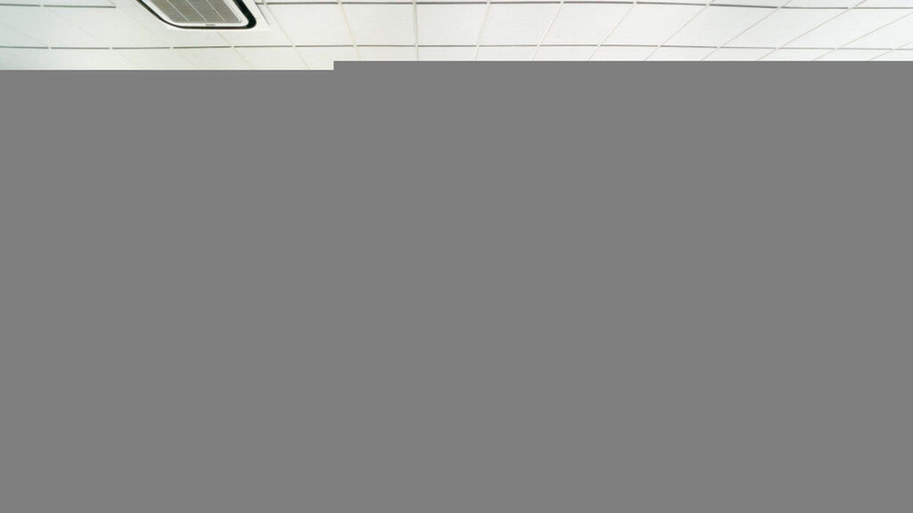 Jardin Del Atlantico