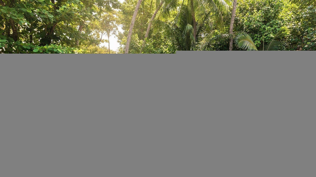 Joali Being Bodufushi