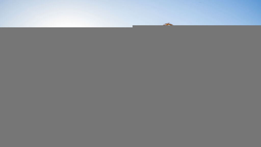 Kairaba Aqua Mondo Resort