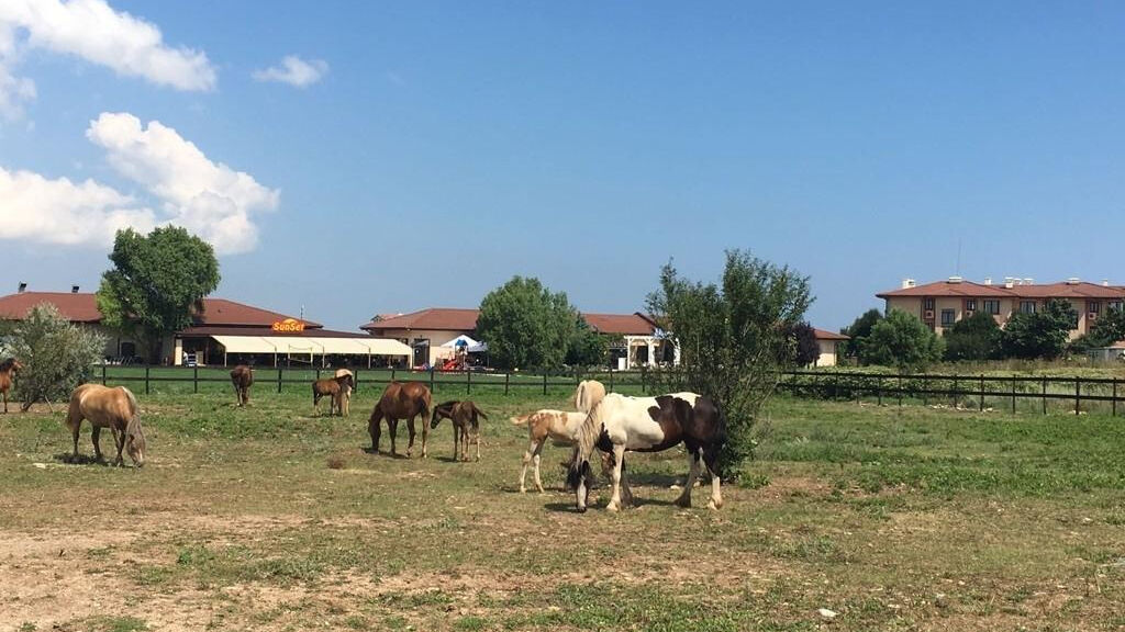 Kaliakria Resort