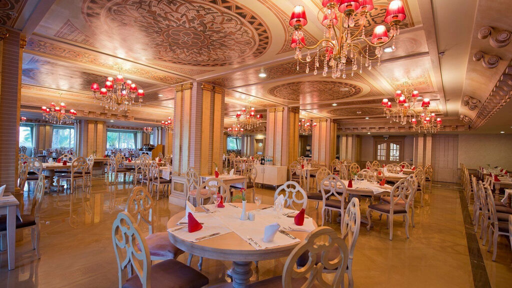 Kamelya Sentido Selin