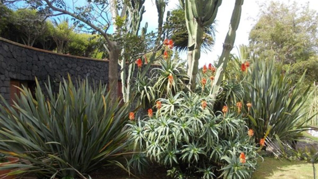 La Palma Romantica