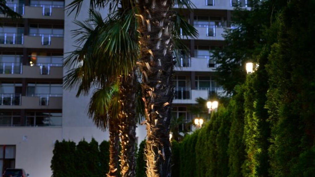 Laguna Park And Aqua Club
