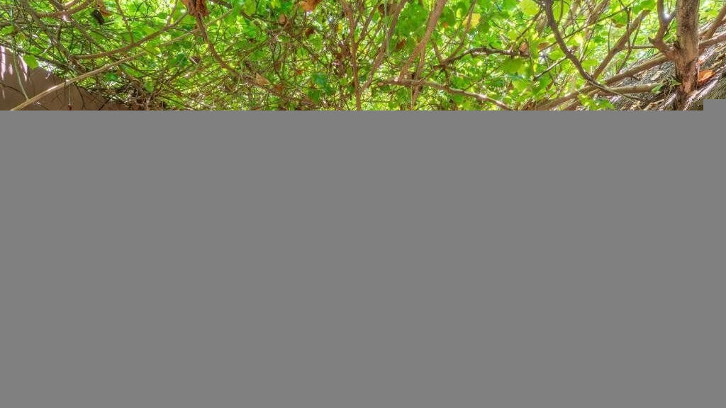 Live Aqua Beach Resort Cancun