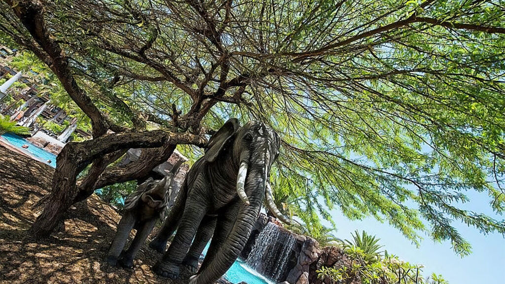 Lopesan Baobab Resort