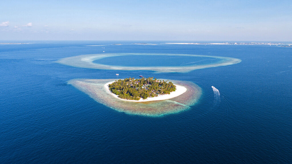 Malahini Kuda Bandos