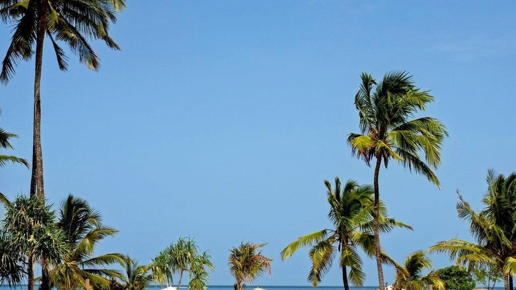 Lux Marijani Zanzibar