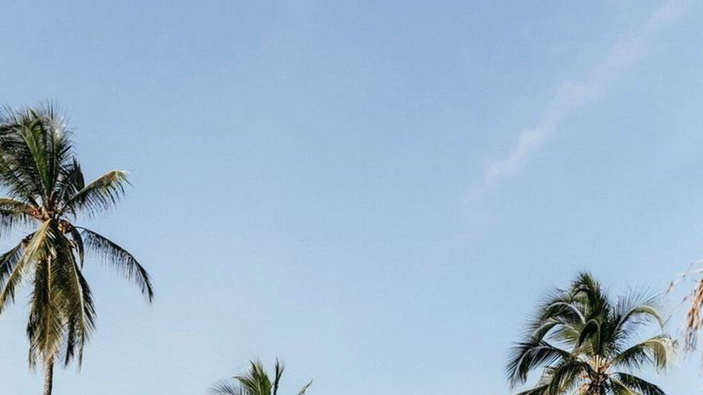 Lux Marijani Zanzibar