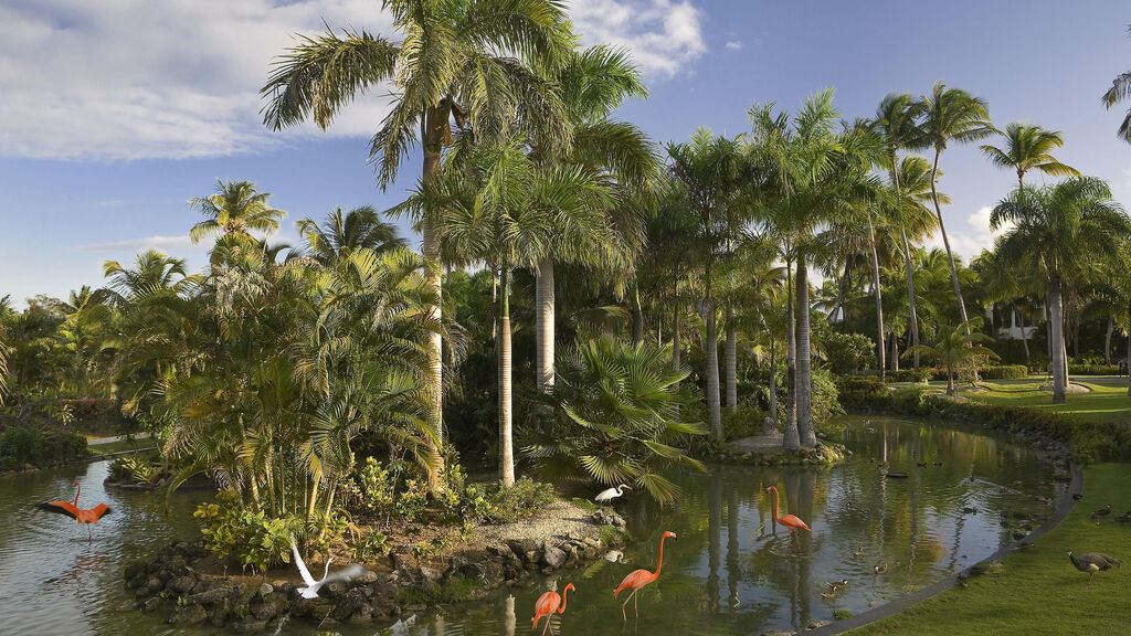 Meliá Caribe Tropical
