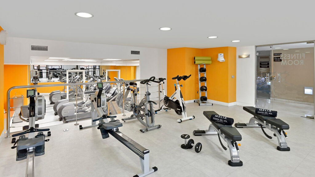 Melia Costa Del Sol