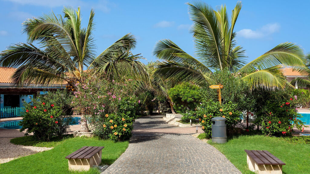 Melia Tortuga Beach