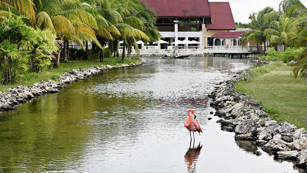 Memories Caribe Beach Resort