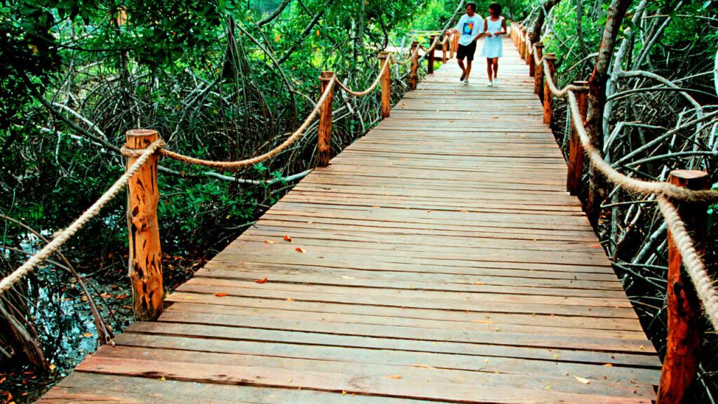 Natura Park Beach Resort & Spa