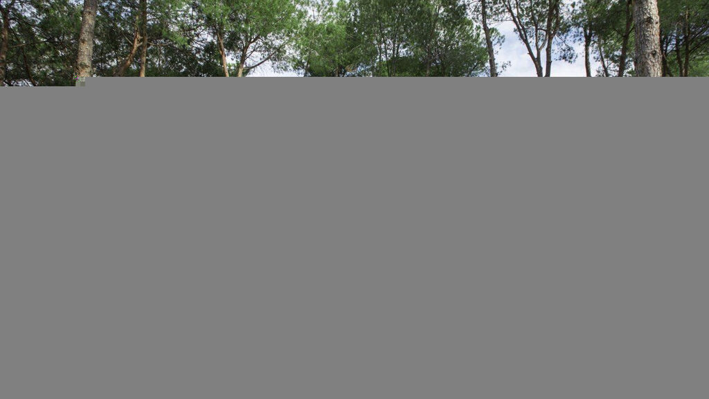 Nirvana Mediterranean Excellence