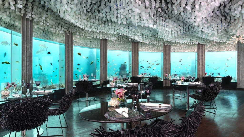 Niyama Private Islands Maldives