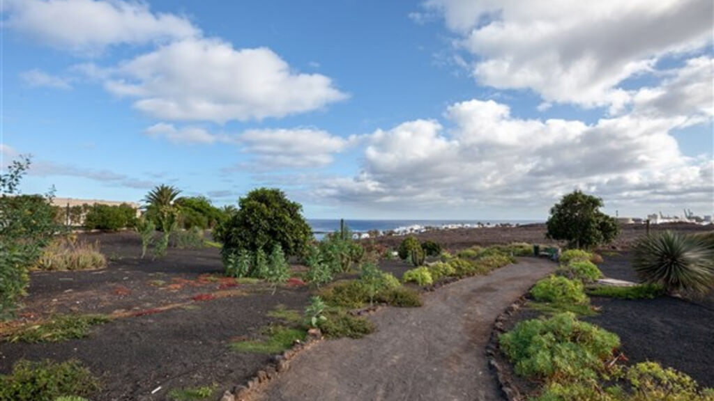 Occidental Lanzarote Mar