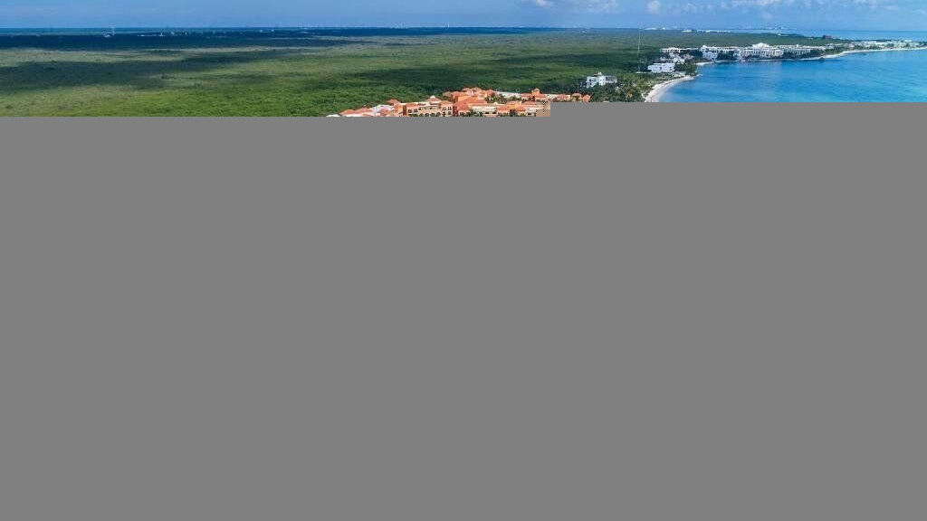 Ocean Coral And Turquesa