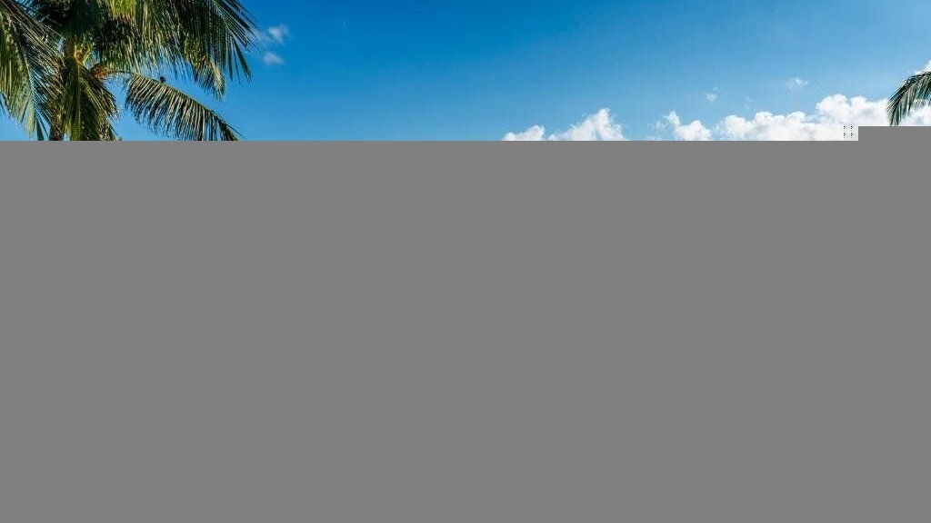 Ocean Coral And Turquesa