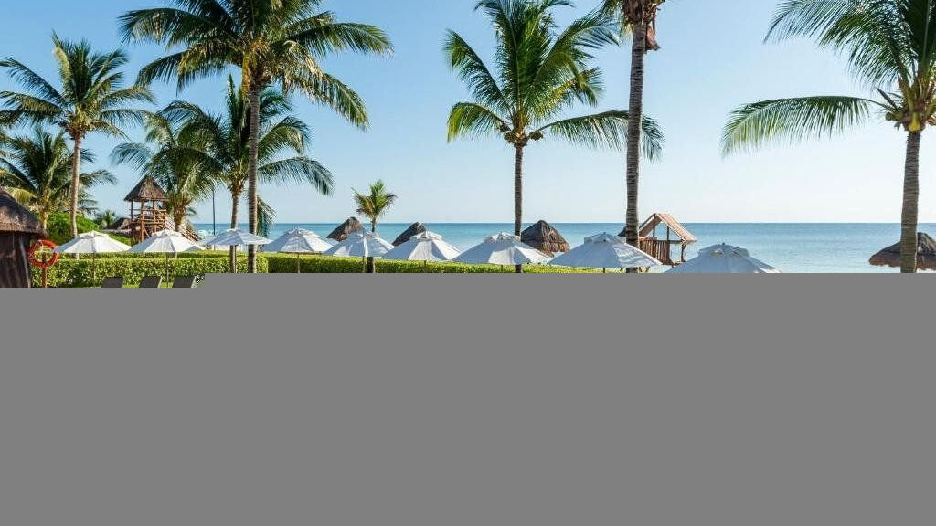 Ocean Coral And Turquesa