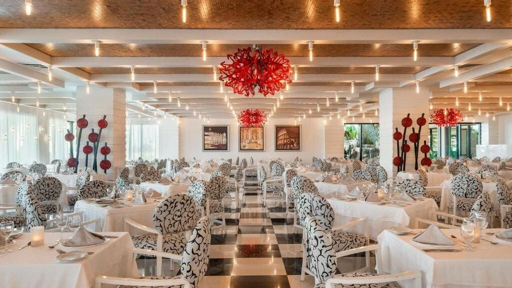 Ocean Coral And Turquesa