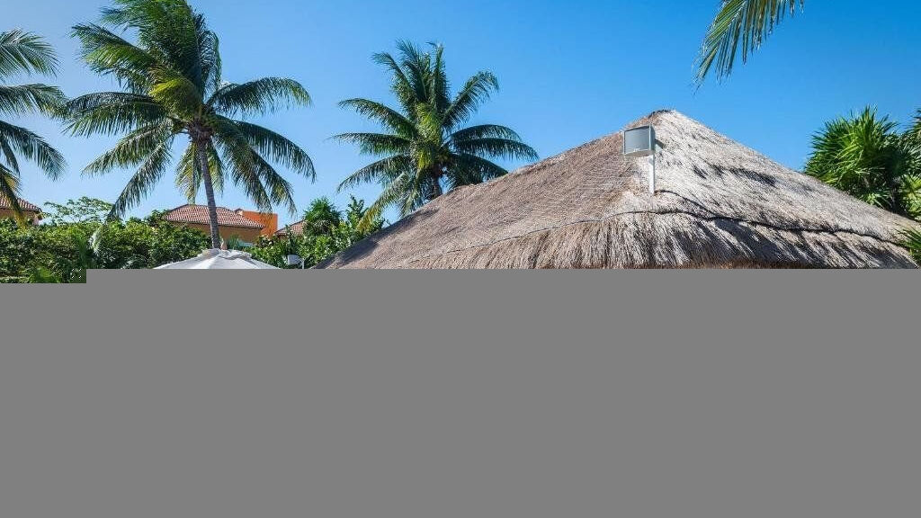 Ocean Coral And Turquesa