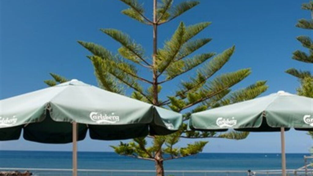 Orca Praia Charter