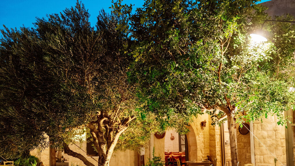 Ostria Resort & SPA