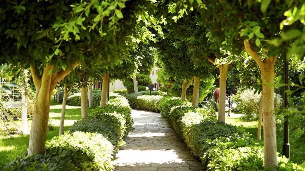 Palmet Resort