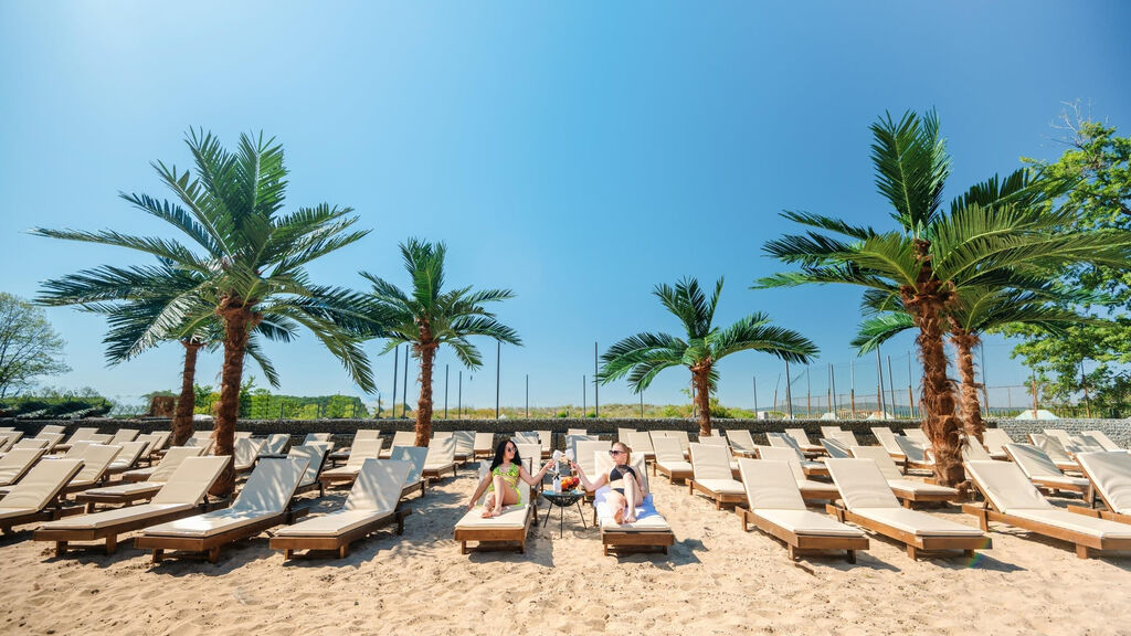 Palms Beach