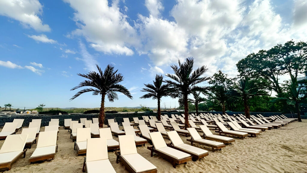 Palms Beach