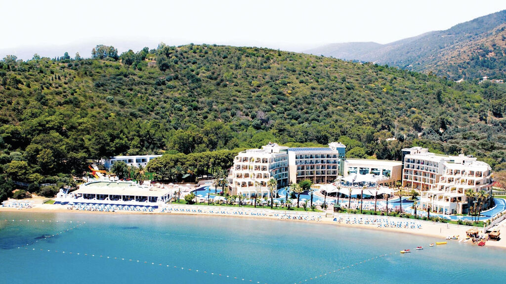 Paloma Pasha