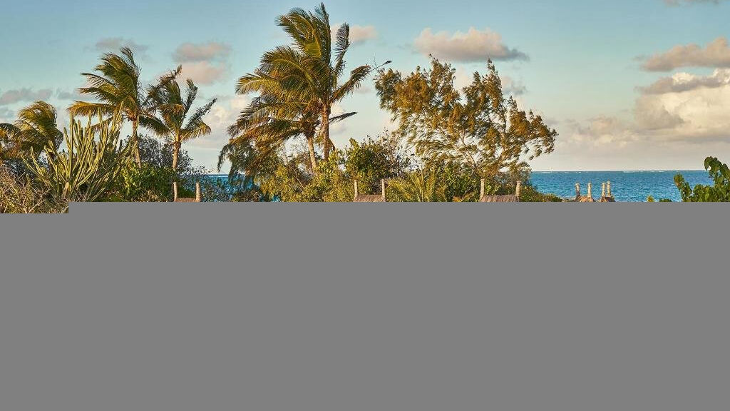 Paradise Cove Boutique