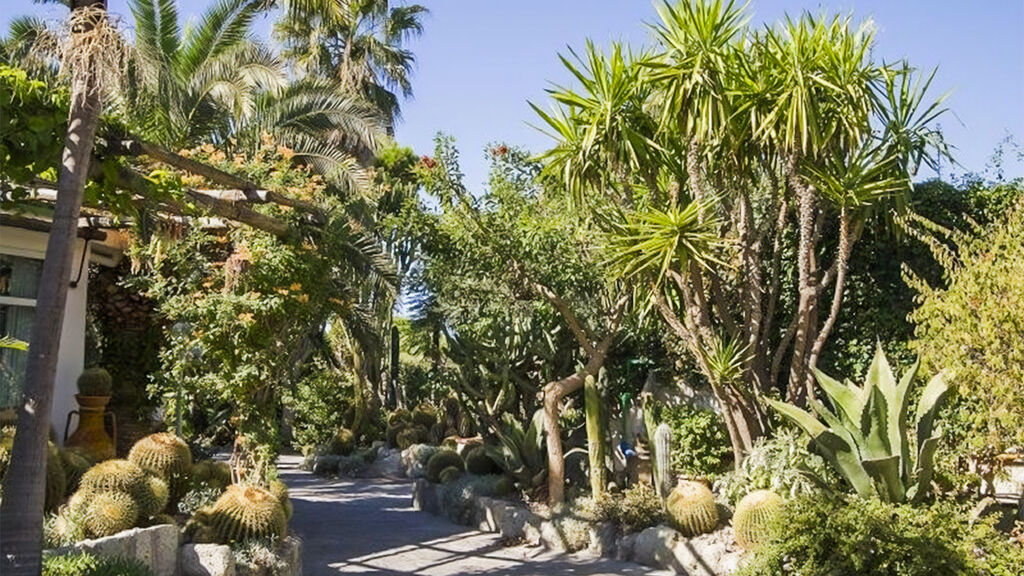 Park Terme Mediterraneo