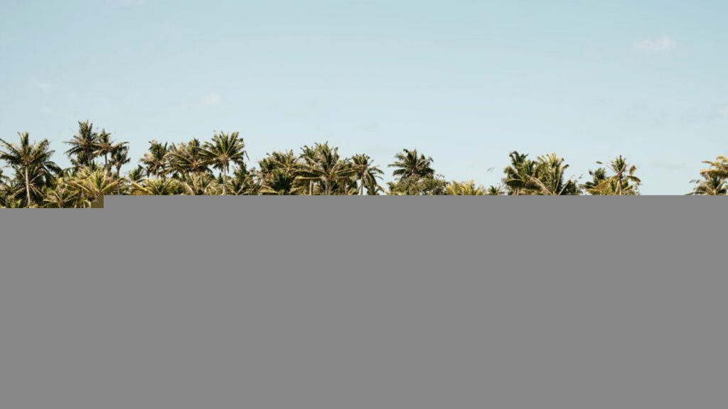 Patina Maldives Fari Islands