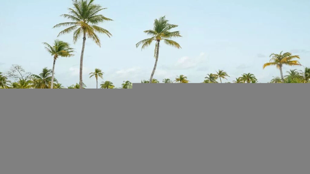 Patina Maldives Fari Islands