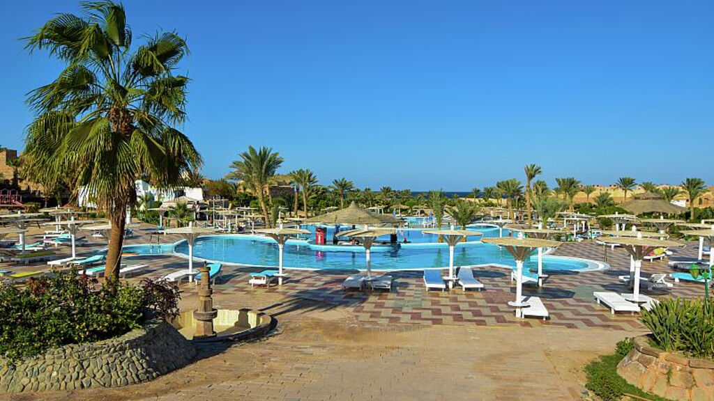 Pensée Azur Marsa Alam