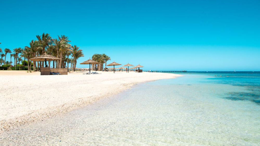Albatros The Palace Port Ghalib