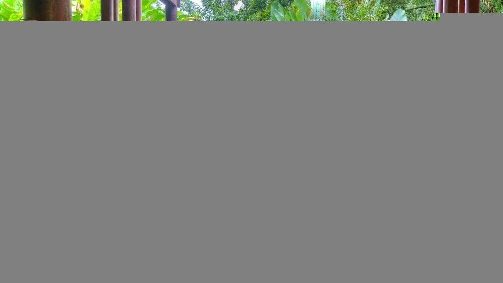 Playa Nicuesa Rainforest Lodge