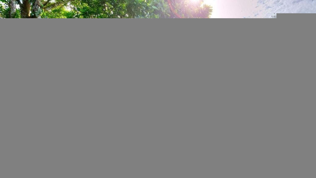 Playa Nicuesa Rainforest Lodge