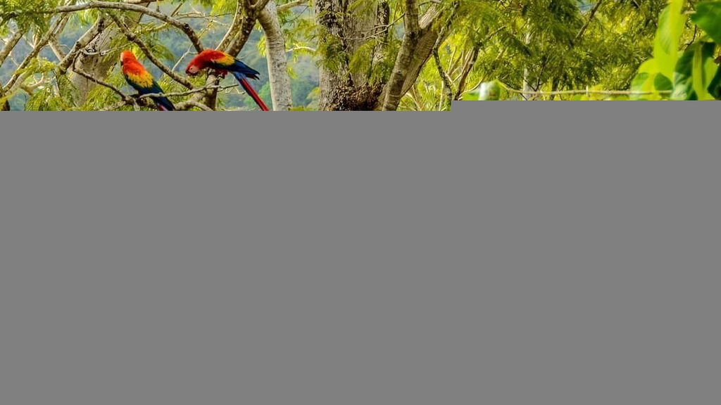 Punta Islita, Autograph Collection